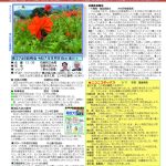2746号－1Ｂのサムネイル